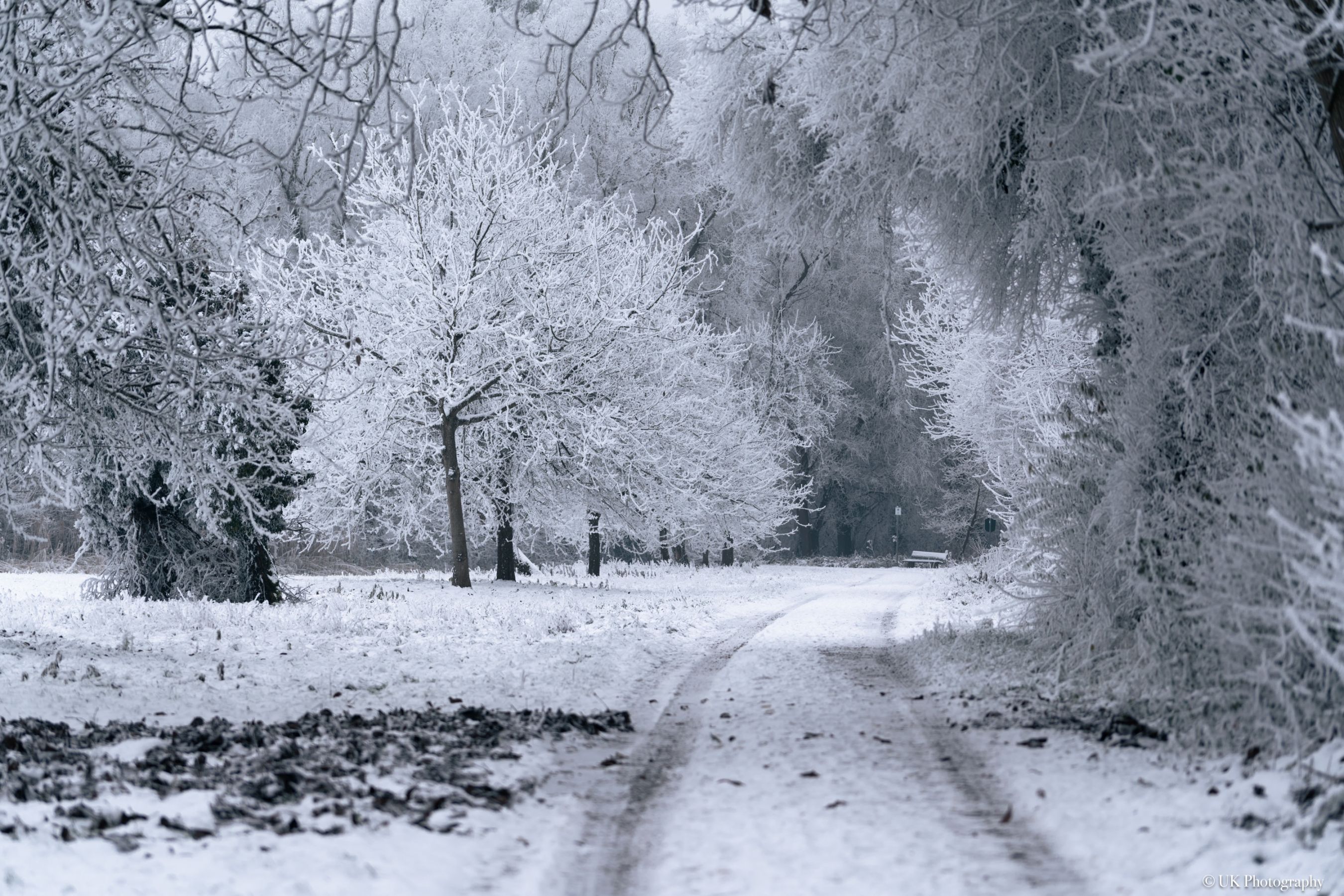 Winter 05